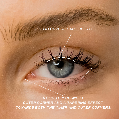 almond eye shape guide for lashes