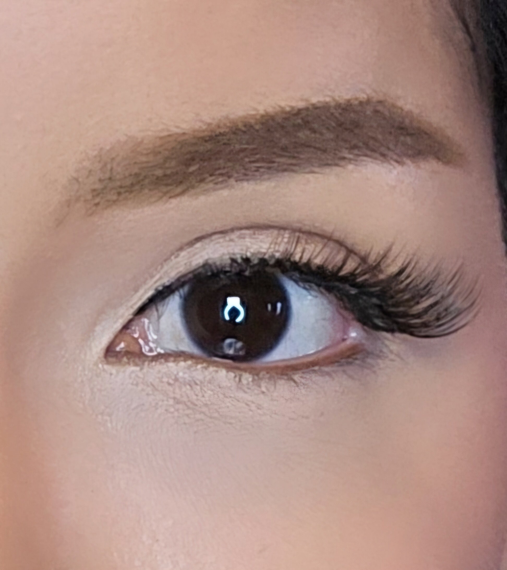 LZRD LASH FF2 lashes style on eye close up