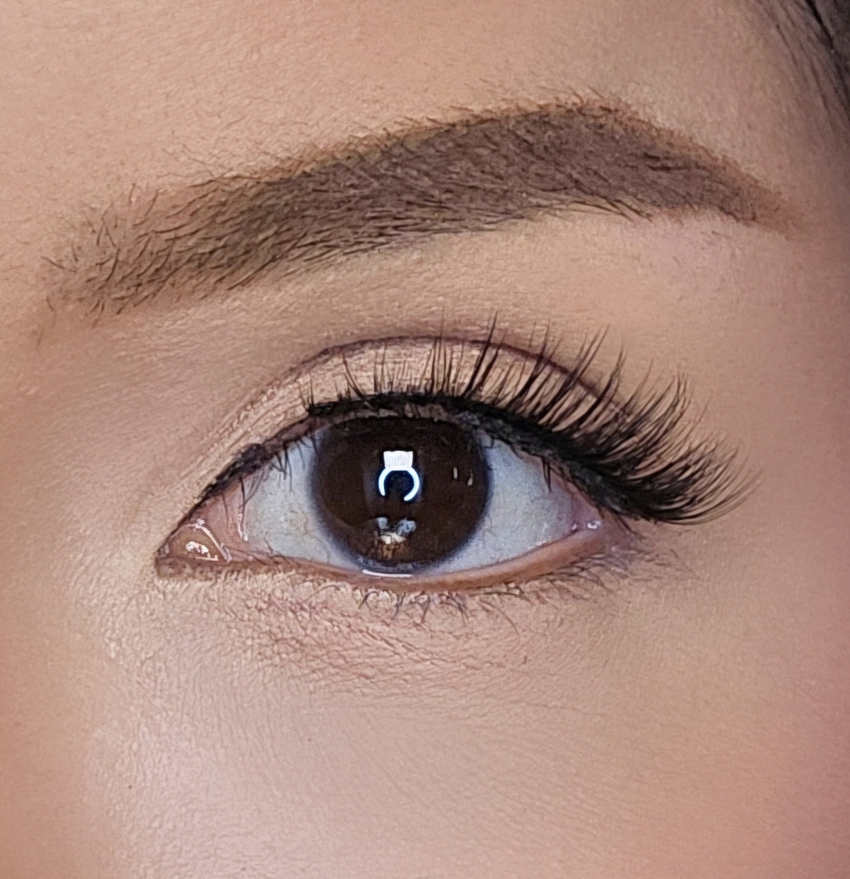 LZRD LASH FF3 lashes style on eye close up