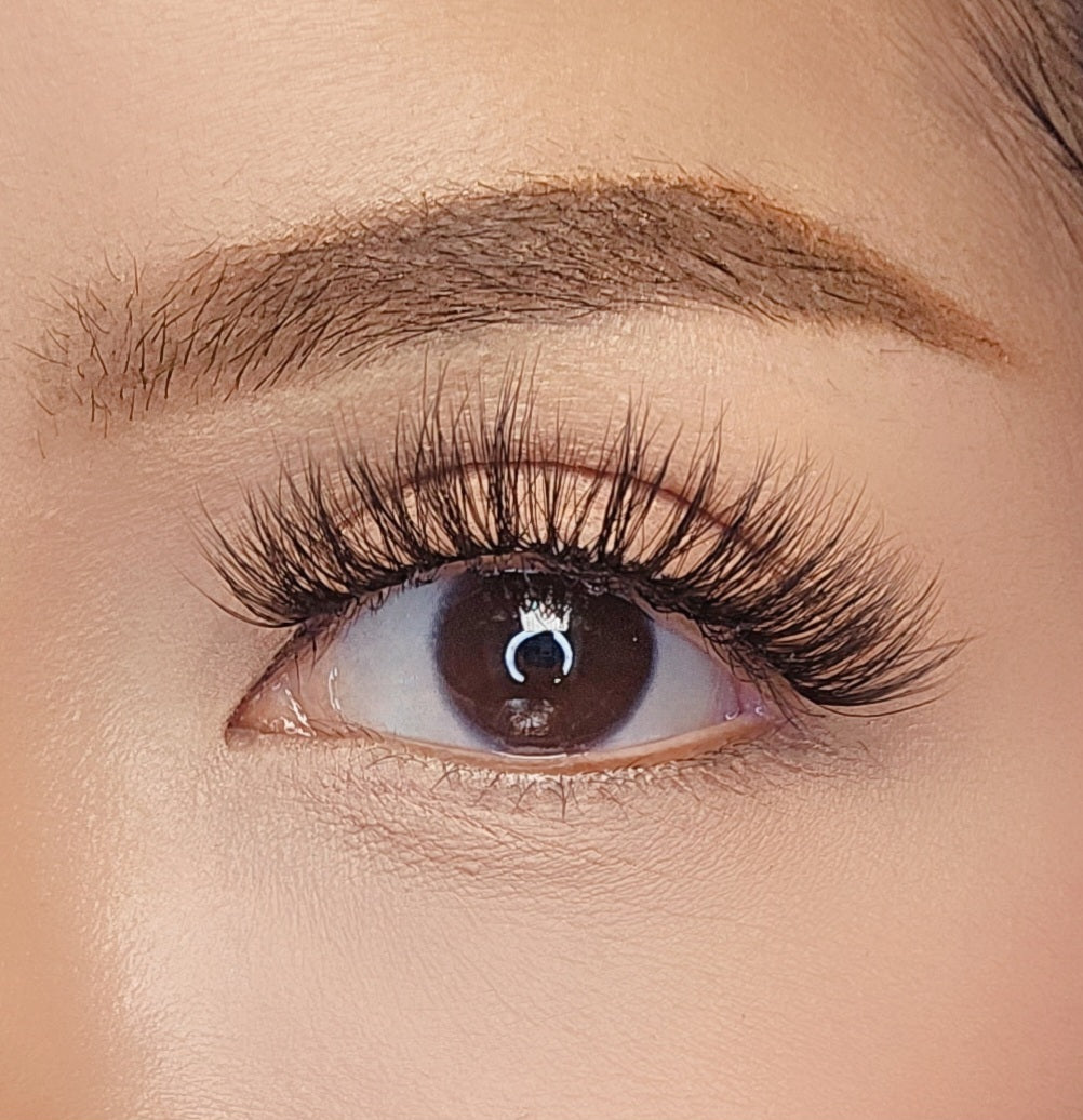 LZRD LASH GL2 style vegan lashes eye closeup