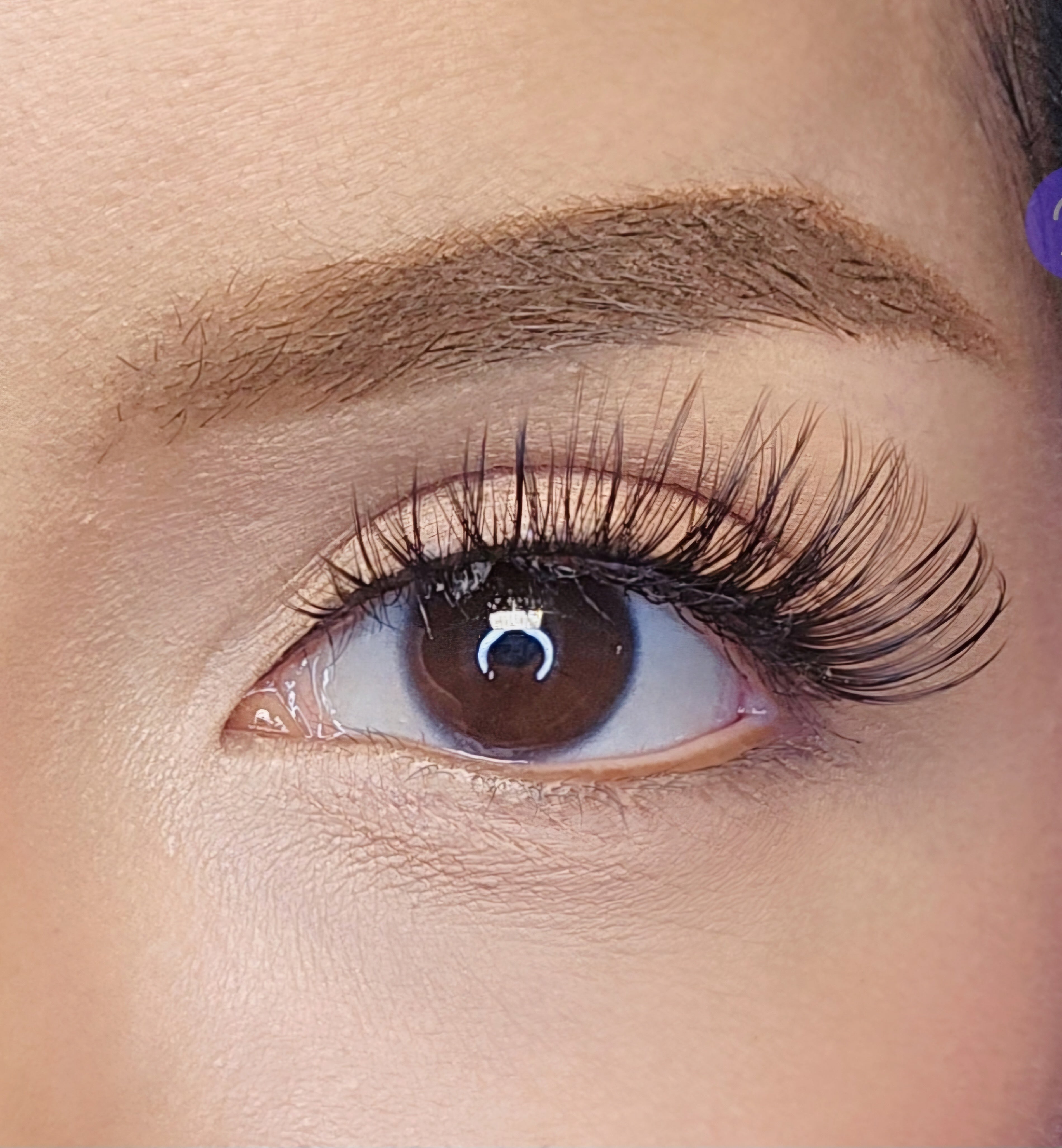 LZRD LASH GL3 style vegan lashes eye closeup