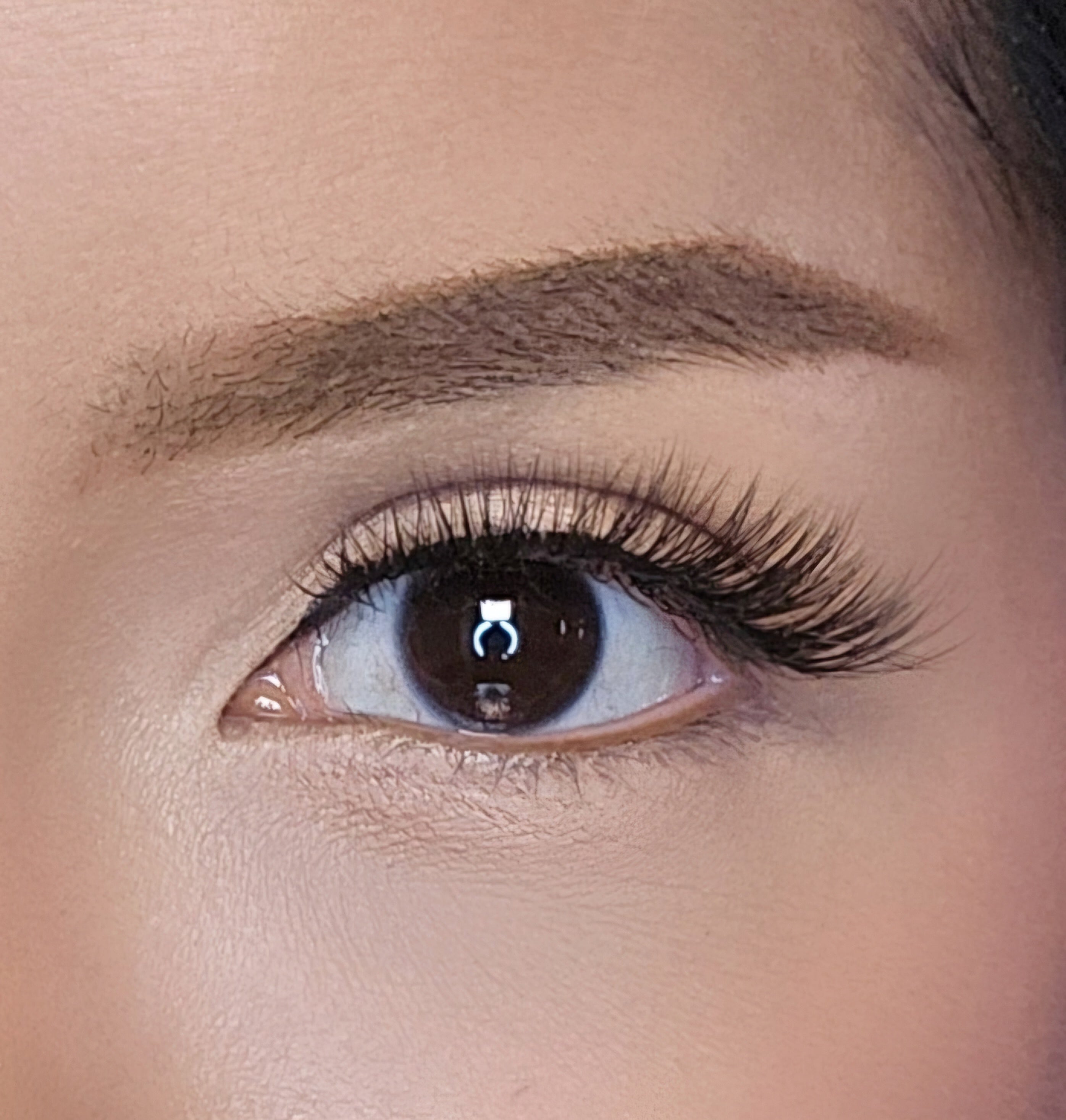 LZRD Lash GL5 style on eye close up