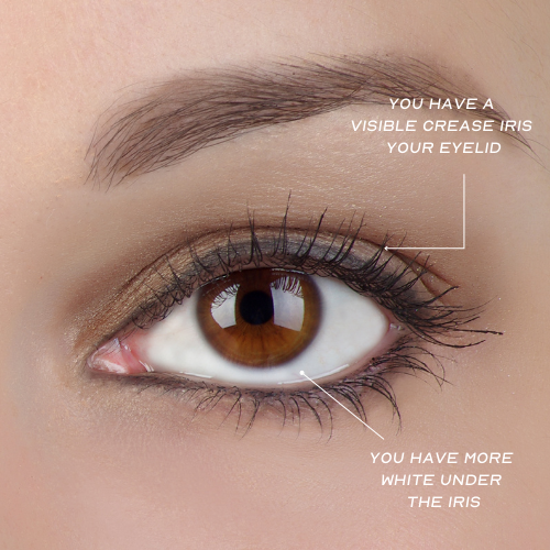 Prominent eye shape guide